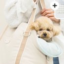 반월119안전센타 이미지