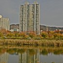 중랑천 이미지