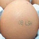 지현농장 이미지