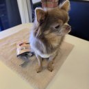 와와멍# 이미지