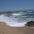 울진농업협동조합 죽변지점 이미지