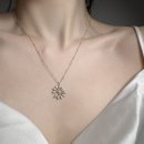 데이지플라워 이미지