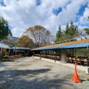 청계-3 | 전남 곡성 맛집 &#39;청계참 다슬기&#39; 백숙 보양식 솔직 후기