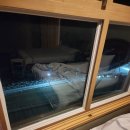 베니키아 호텔 산과바다 대포항 이미지