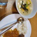 (주)비오지노키 제2공장 | [260215~260220] 프라하 4박 5일 여행 후기 -4일차 (일정/하루 사용금액)