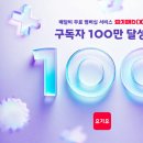 요기요기 이미지