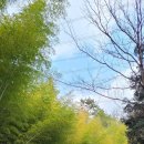 거명산업 | 국악와인열차(2) 이틀째 이야기