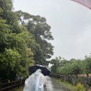 오레브온천앤스파(O'REVE HOT SPRING&SPA) | [제주여행🍊] 오레브핫스프링앤스파_ 비오는날 제주여행 추천코스 1탄🌴☔