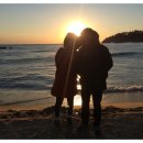 파랑새목장 이미지