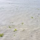 코코스협재 이미지