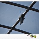 중앙흑염소농장 이미지