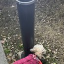 제일BYC