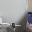 작은 변화, 큰 효과:집을 새롭게 만드는 공간 활용법 | 용인 도배 벽 한면 인테리어 효과 최대치 활용법