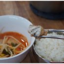 제주복어 이미지