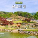 운보미술관 | 청주 볼거리 추천 한 폭의 그림 같은 공간 운보의 집
