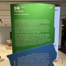 [서울/종로] 교보아트스페이스 &lt;접촉 contact, 우리는 과거로 간다&gt; 문이삭, 박석원 전시후기