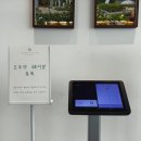 푸른바다PC방 | 청주ㅣ토성마을, 핑크뮬리로 물든 베이커리카페(핑크뮬리 실시간 개화현황)