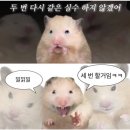 두발노래방 | 창 밖에 내리는게 비가 아니라 눈이었으면 좋겠어