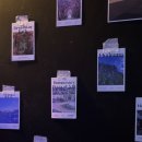 동명동골방