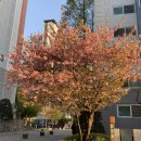 청주 하나 카 모터스 이미지