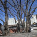 동천 수변공원 이미지