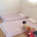 풀뿌리게스트하우스 이미지