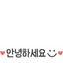 유명컴퓨터세탁소 이미지