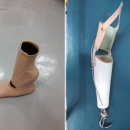 동양재활보조기 이미지