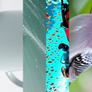 마싯데이 | # 물금역 로컬 술집 마싯데이 공격후기