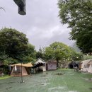 토비하우스 이미지