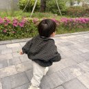 아기 첫걸음마 신발 선택, 타이니스텝 착용 후기 (구매처 정보)