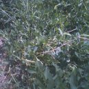 돌쇠농장 이미지