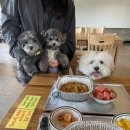 제니럽