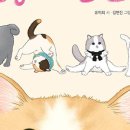 책고양이 이미지