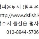 참피온낚시