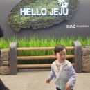 신화농장 | 제주 아기랑 실내 가볼만한곳(신화월드 아르떼키즈파크 제주항공우주박물관 테디베어하우스)