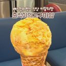 배스킨라빈스일신여상점 | 베라 이달의 맛 1월 베스킨라빈스 신상 아이스크림 춘식이의 고구마얌 추천