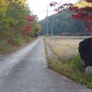 진주농장 이미지