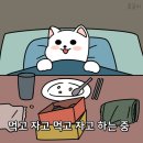 불타는양꼬치 | ▶ 영주 맛집 불타는 양꼬치