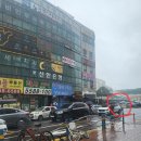 김승현이비인후과의원 | 원삼,루이 스케일링 하다! (마이펫플러스-남양주 다산동 참사랑 동물병원)