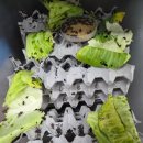 고래의꿈 수족관 이미지