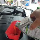 닥터카랜드 이미지