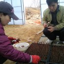 태안목장 이미지