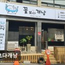 꽃보다개냥 | {부천, 강아지, 고양이, 애견미용, 추천!) 꽃보다개냥 부천 꽃보다개냥, 맞춤 케어로 인기