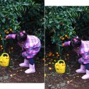 대명2농장 이미지