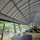 청솔가마솥 | 아이와 여름계곡 백숙과 물놀이는 진리! 강원도 횡성 가볼 만한 곳 계곡식당 '청솔묵' 방문 후기