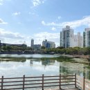 마위근린공원 이미지