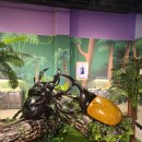 여주곤충박물관 이미지