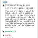 늘,네일
