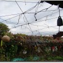 참좋은 어린이집 이미지